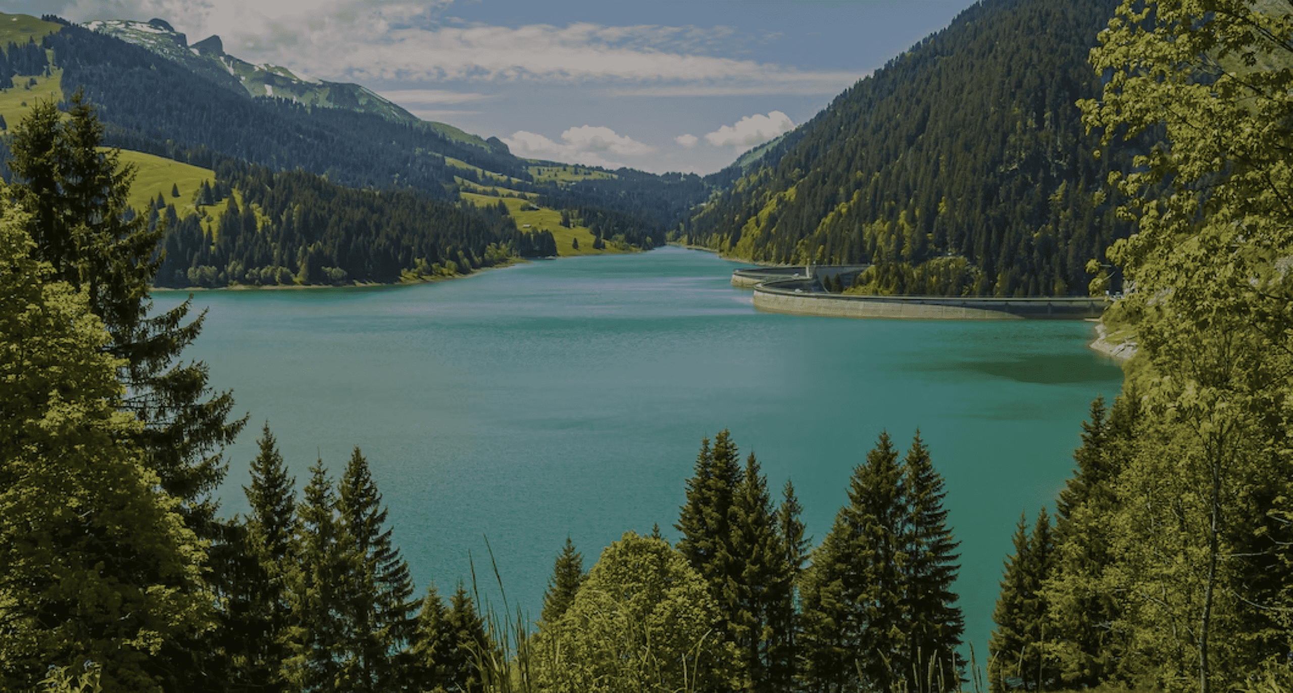 Transizione Ecologica